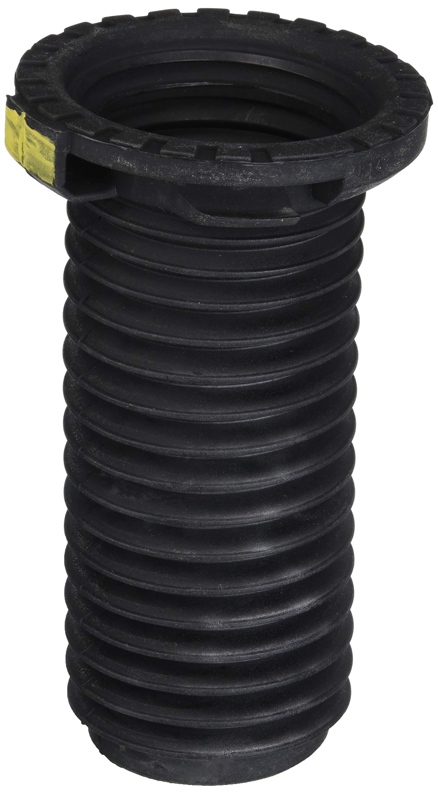 ジンジャー・スナップス('00カナダ) Amazon.com: Genuine Honda 51402-SNA-903 Right Front Spring